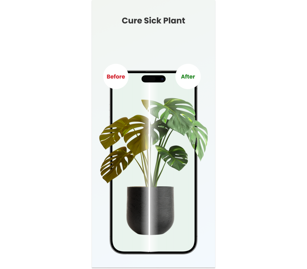 Plant Diagnosis App