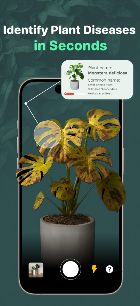 Plant Disease Diagnosis